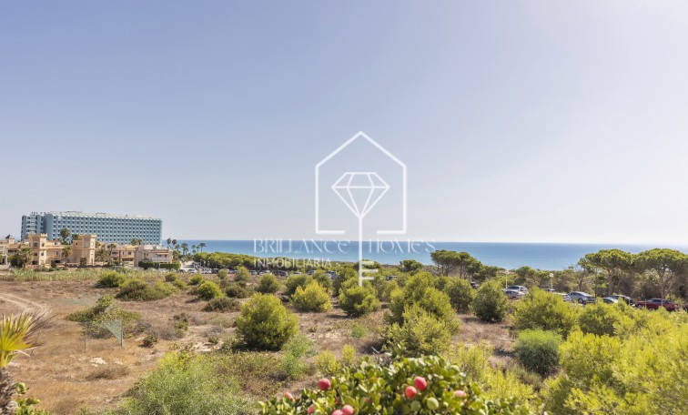 Revente - Appartement / flat - Guardamar del Segura