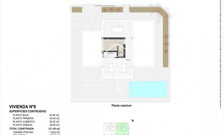Nouvelle construction - Villa - Pilar de la Horadada