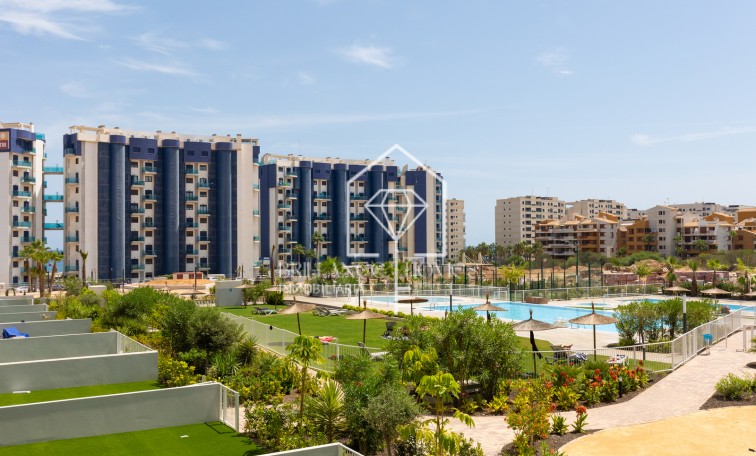 Resale - Wohnung - Torrevieja - Punta Prima
