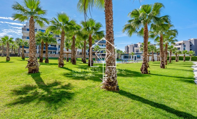 Sprzedaż - Apartment/mieszkanie - Orihuela Costa - Los Altos
