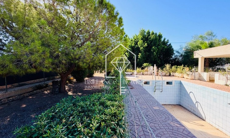 Revente - Detached villa - Crevillente