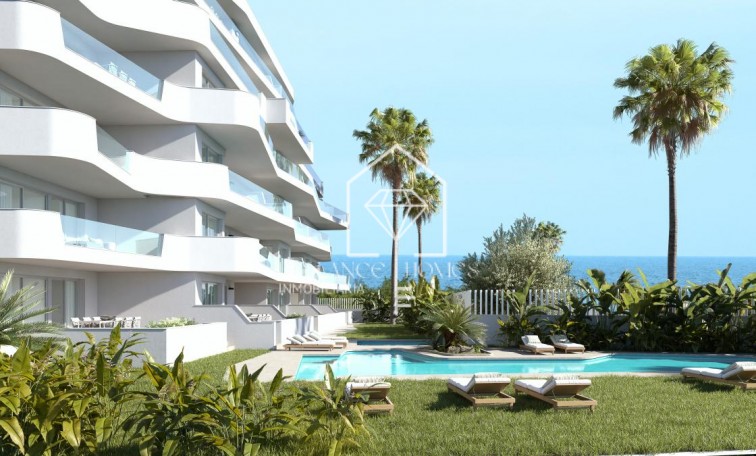 Nouvelle construction - Appartement - Pilar de la Horadada