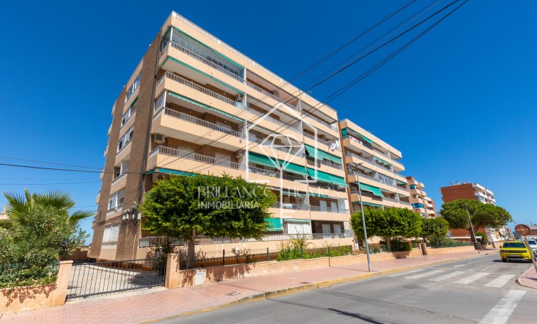 Segunda mano - Apartamento / piso - Torrevieja - Rocio del Mar