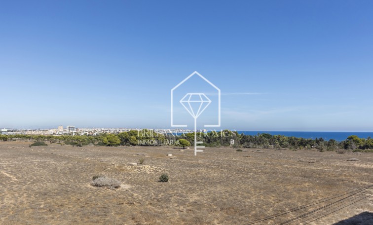 Segunda mano - Apartamento / piso - Torrevieja - Rocio del Mar