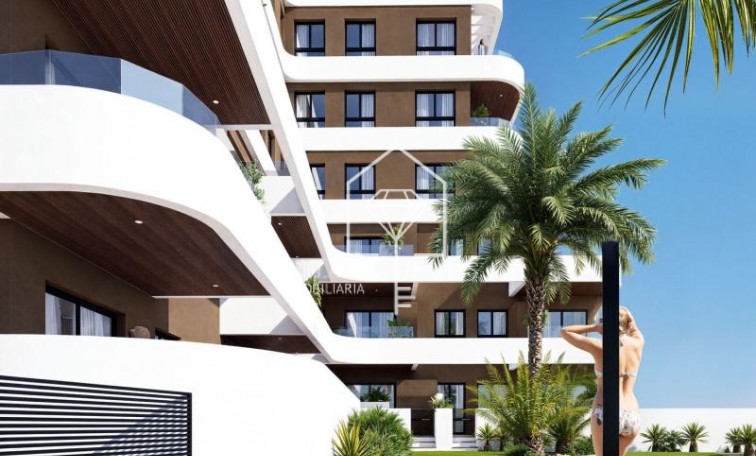 Nouvelle construction - Appartement - Guardamar del Segura