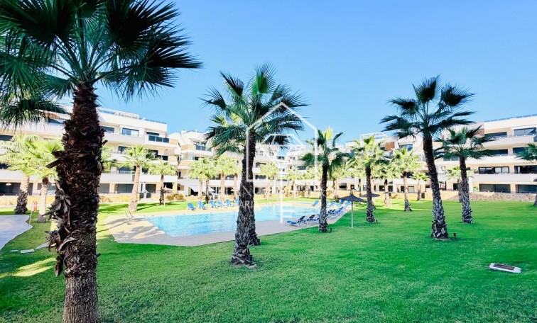 Sale - Apartment / flat - Orihuela Costa - Los Altos