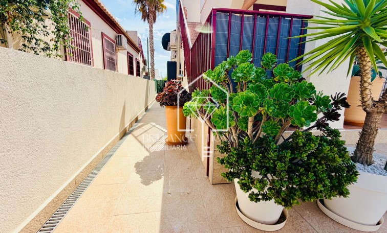 Resale - Semi Detached Villa - Daya Vieja