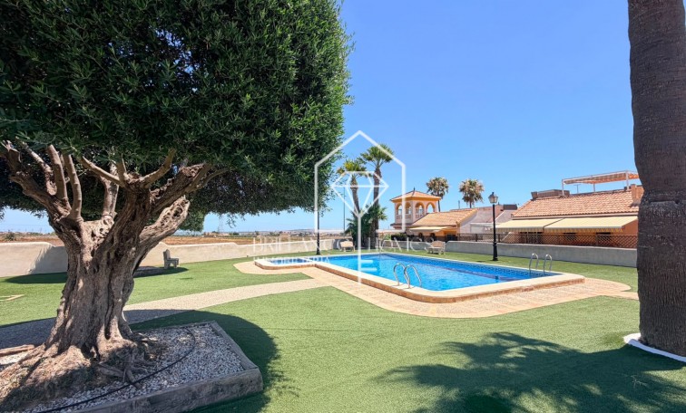 Segunda mano - Semi Detached Villa - Los Montesinos - Urbanizacion montesol