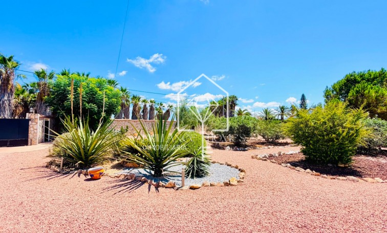 Revente - Detached villa - Daya Vieja