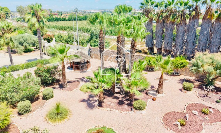 Revente - Detached villa - Daya Vieja