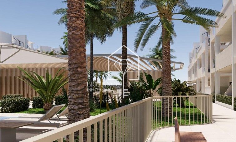 New Build - Apartment / flat - Torre-Pacheco