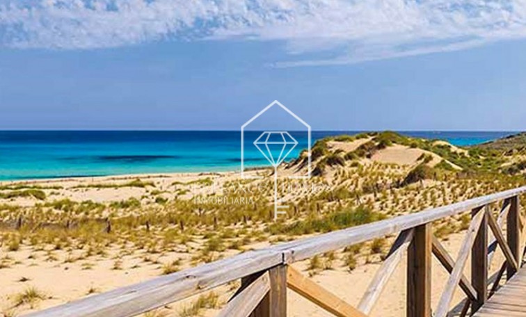 Nowa konstrukcja - Villa - Majorka - Playa de Sa Colonia