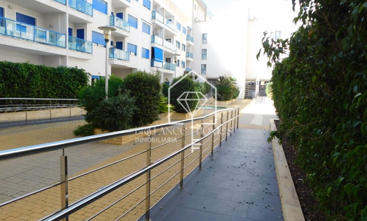 Segunda mano - Apartamento / piso - Alicante - El Palmeral - Urbanova - Tabarca