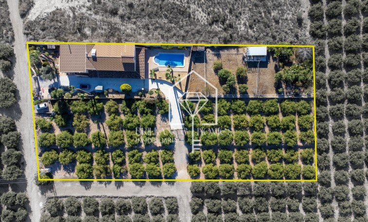 Sprzedaż - Finca / Country Property - Orihuela - La Matanza