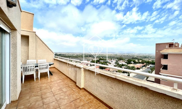 Sale - Penthouse - Los Arenales del Sol - Arenales