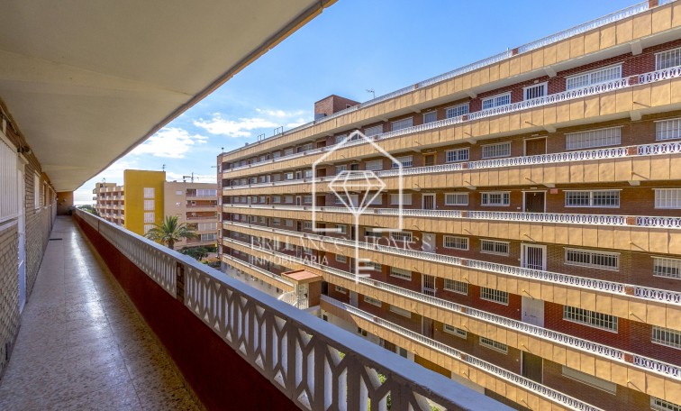 Revente - Apartment - Punta Prima