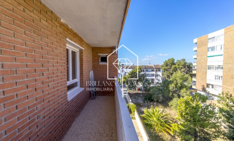 Sale - Apartment - Punta Prima