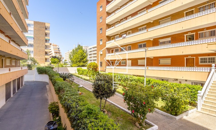 Revente - Apartment - Punta Prima