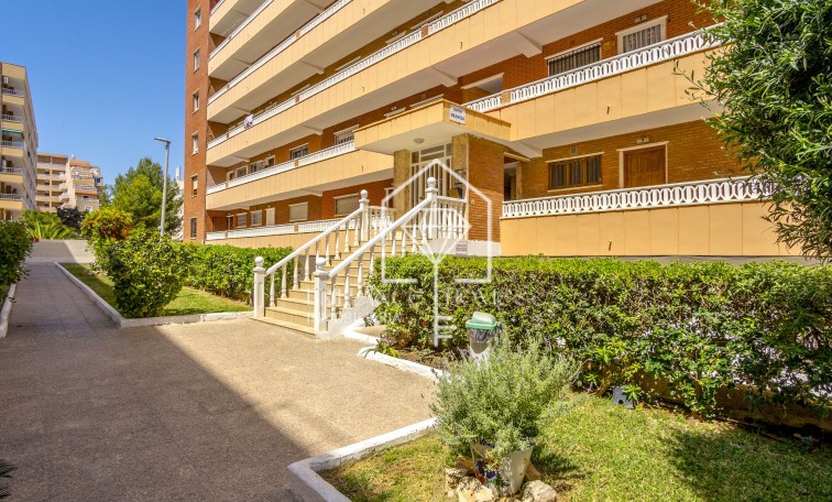 Sale - Apartment - Punta Prima