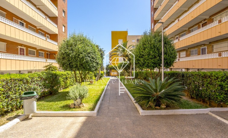 Sale - Apartment - Punta Prima