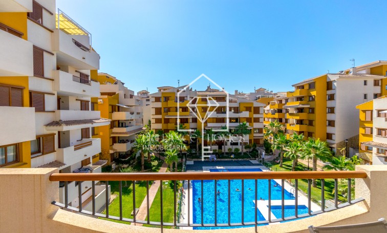 Revente - Apartment - Punta Prima - La Recoleta