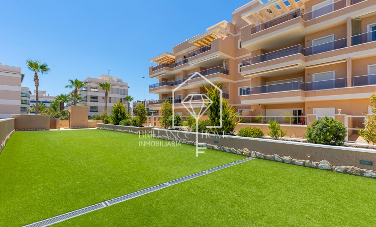 Revente - Apartment - Orihuela Costa - Villamartín-Las Filipinas