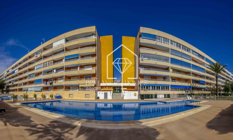 Revente - Apartment - Punta Prima - El Acequión