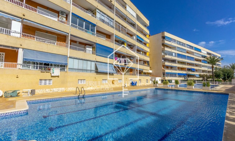 Revente - Apartment - Punta Prima - El Acequión