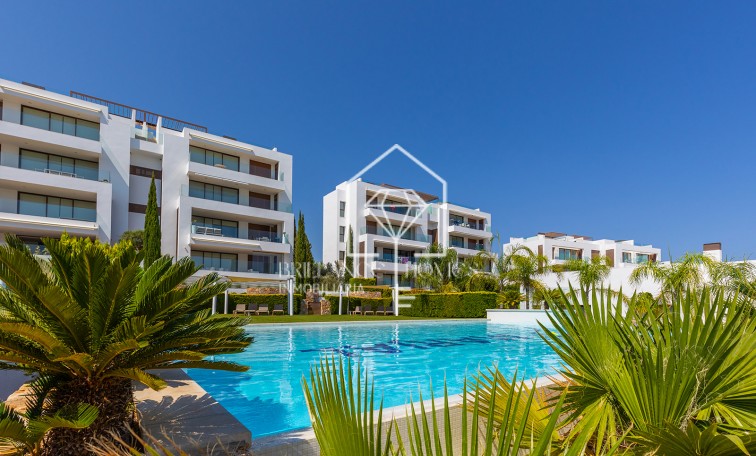 Sprzedaż - Penthouse - Orihuela Costa