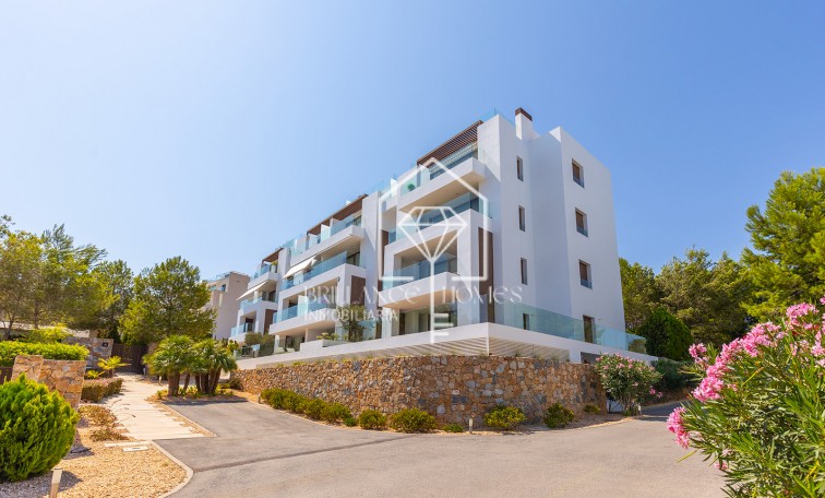 Sprzedaż - Penthouse - Orihuela Costa