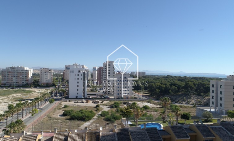 Nowa konstrukcja - Apartamento - Guardamar del Segura - Guardamar