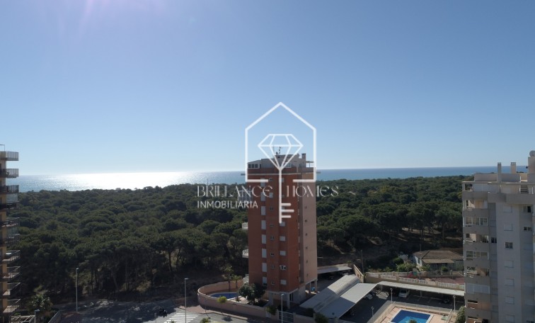 Nowa konstrukcja - Apartamento - Guardamar del Segura - Guardamar