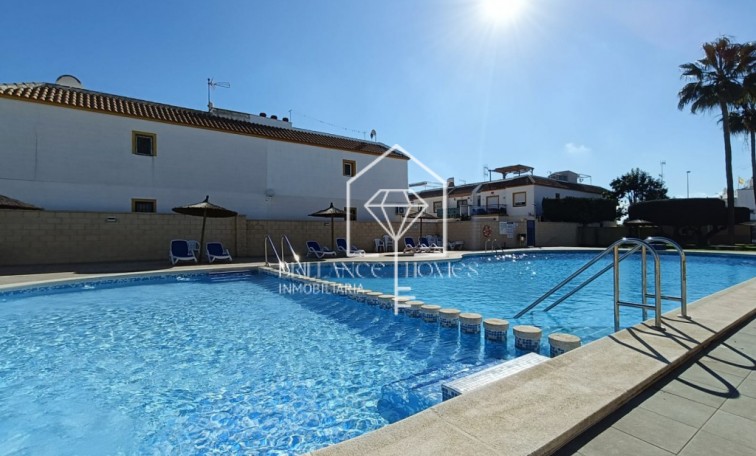 Segunda mano - Garden Apartment - Torrevieja