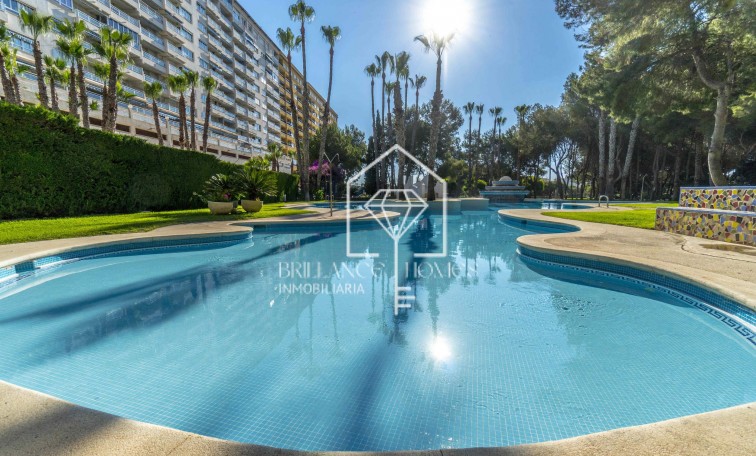 Sale - Apartment - Orihuela Costa - Campoamor