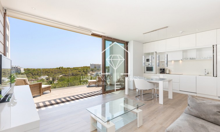 Sprzedaż - Penthouse - Orihuela Costa