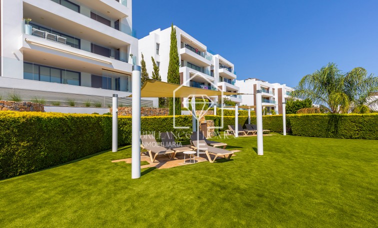 Sprzedaż - Penthouse - Orihuela Costa