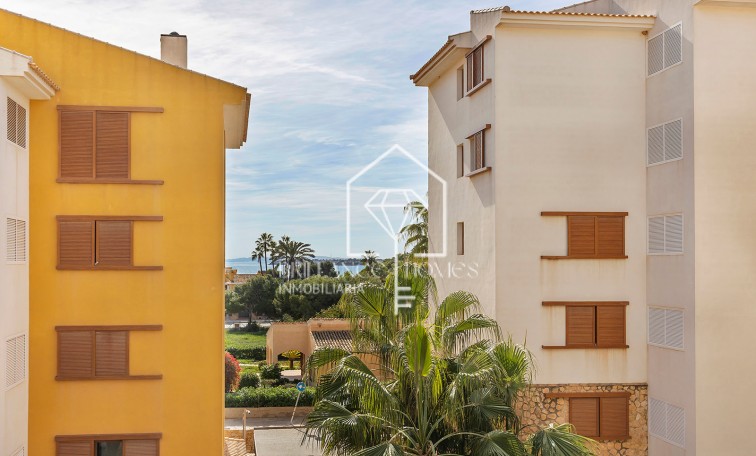 Segunda mano - Apartment - Torrevieja - Punta Prima