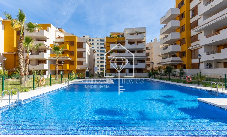 Segunda mano - Apartment - Torrevieja - Punta Prima