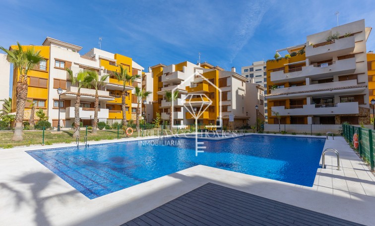 Segunda mano - Apartment - Torrevieja - Punta Prima