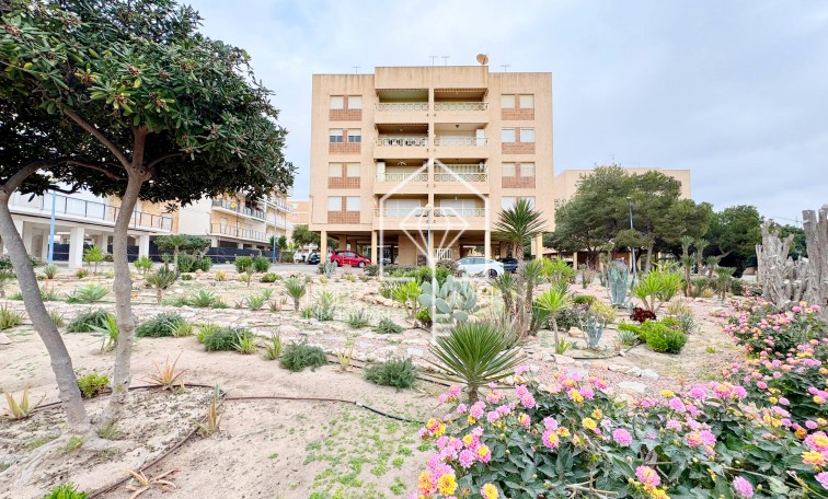 Segunda mano - Apartment - Orihuela - Orihuela Costa