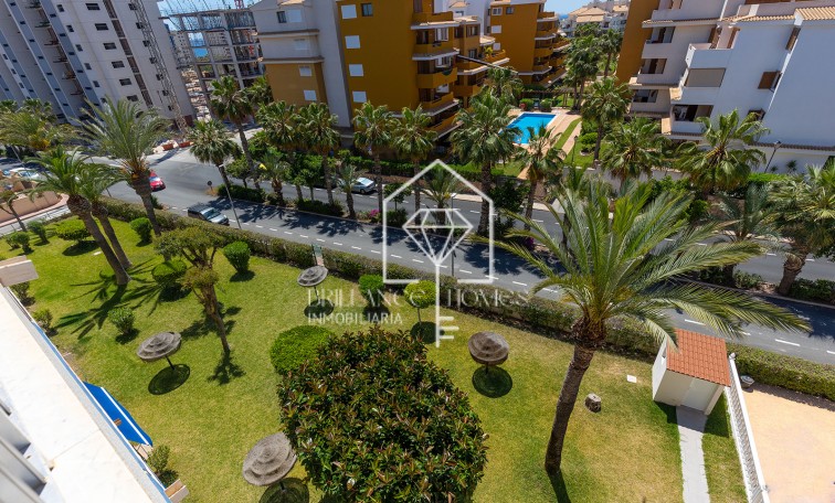 Sprzedaż - Apartament - Torrevieja - Rocio del Mar