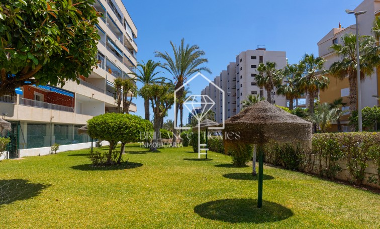 Sprzedaż - Apartament - Torrevieja - Rocio del Mar