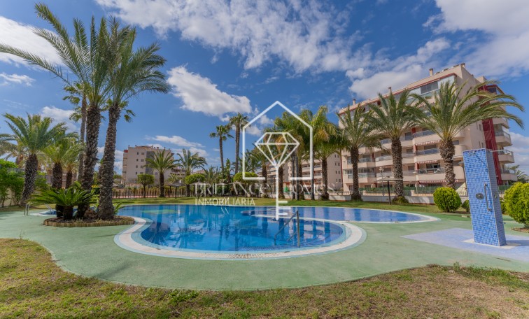 Segunda mano - Apartamento / piso - Los Arenales del Sol - Arenales