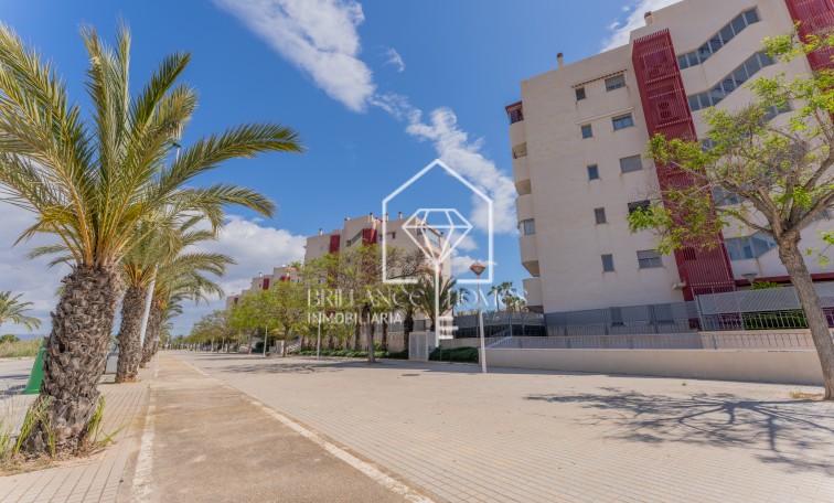 Segunda mano - Apartamento / piso - Los Arenales del Sol - Arenales