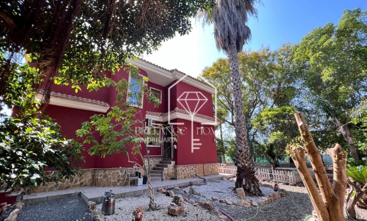 Sprzedaż - Finca Country Property - Los Montesinos