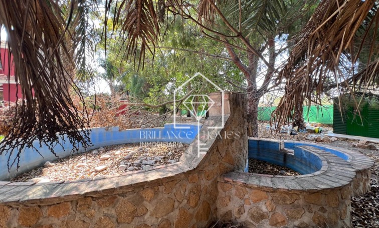 Sprzedaż - Finca Country Property - Los Montesinos