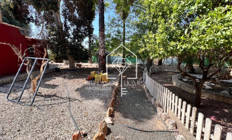 Sprzedaż - Finca Country Property - Los Montesinos
