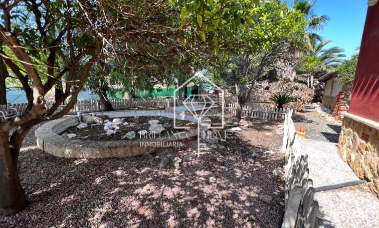 Sprzedaż - Finca Country Property - Los Montesinos