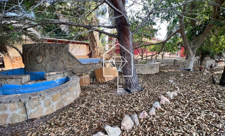 Sprzedaż - Finca Country Property - Los Montesinos
