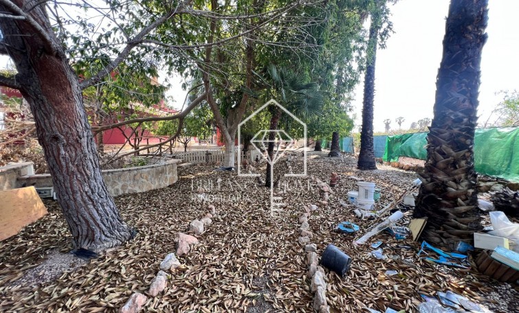 Sprzedaż - Finca Country Property - Los Montesinos